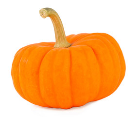 Pumpkin on a white background, pumpkin on white the isolated 
