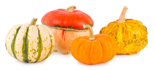 Pumpkins on a white background, pumpkins on white the isolated 