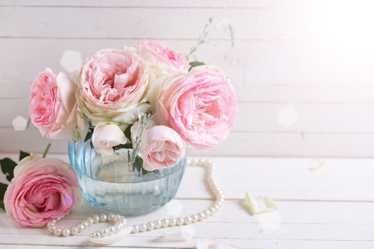 Sweet pink roses in vase