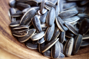 sunflower seed