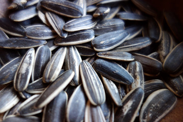 sunflower seed