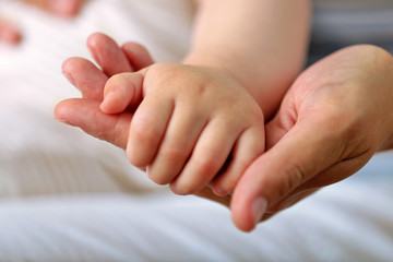 Adult and baby hands, closeup
