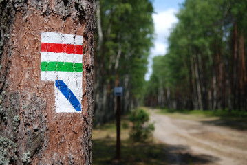 szlak turystyczny © Marek Stokowski