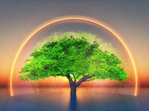 biosphere