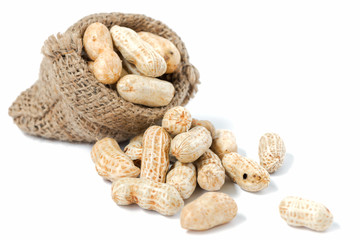 peanut isolated on white