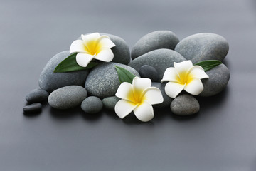 Obraz na płótnie Canvas Spa stones with flowers on gray background