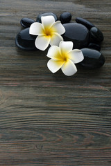 Wet spa stones with flowers on wooden background
