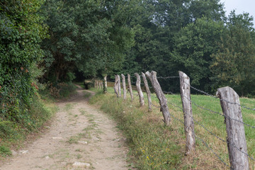 The camino de Santiago between Barbadelo and Ferreiros near Sarria