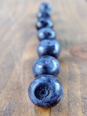 A row of mature berries of bilberry