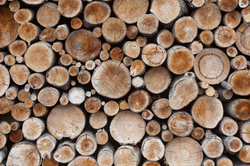 many wooden logs, natural background and texture
