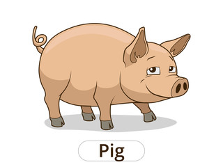 Pig animal cartoon illustration for children