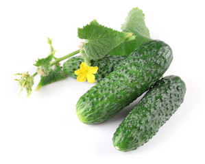 Fresh natural cucumbers with leafs isolated on white