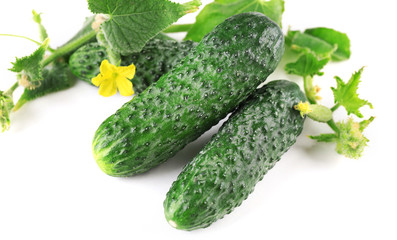 Fresh natural cucumbers with leafs isolated on white