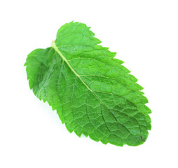 Obraz premium Fresh mint leaf isolated on white, close up