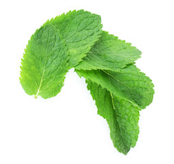 Fragrant mint leaves isolated on white, close up