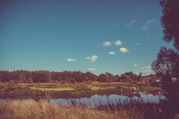 Green Forest and River Retro