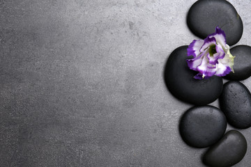Composition of pebbles and beautiful flower on grey background, empty space