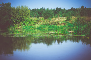 Green Forest and River Retro