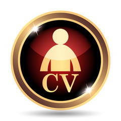 CV icon