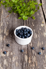 Fototapeta na wymiar fresh blueberries in a bowl