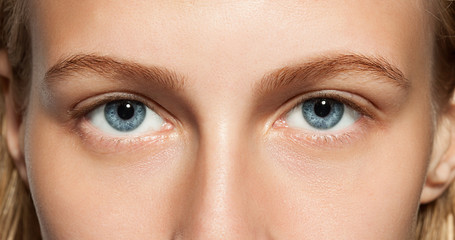 Closeup of blue eyes girl without makeup - obrazy, fototapety, plakaty