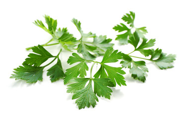 Fresh parsley isolated on white