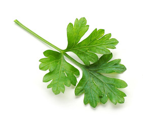 Obraz premium Fresh parsley isolated on white