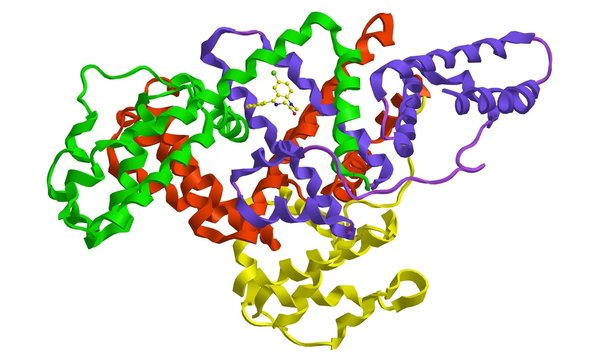 Molecular structure of human serum albumin and diazepam Stock Illustration  | Adobe Stock