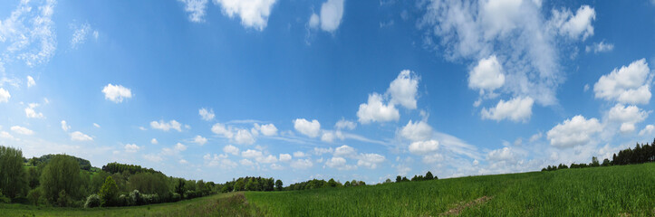 Landscape in summer with clouds - 93830503