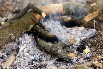 Fototapeta na wymiar Campfire in the wood