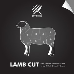 Simply lamb meat cut diagram