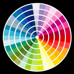 Fototapeta premium Color round palette on black background