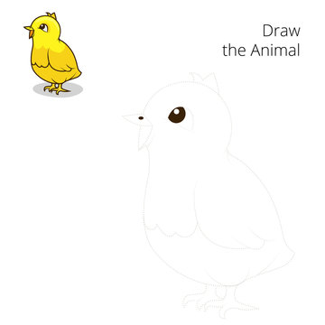 Draw the animal chicken educational game vector 