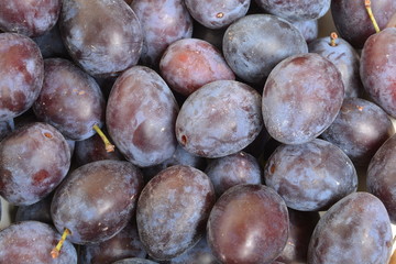 plum closeup