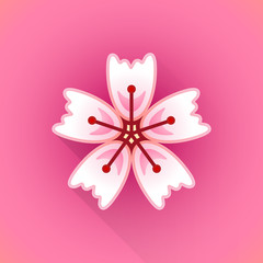 vector flat abstract sakura flower illustration icon.
