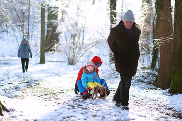 Active healthy grandparents and their happy grandchildren, toddler girl and teenage boy wearing colorful snowsuits enjoying a sledge ride in beautiful snowy forest on sunny winter day