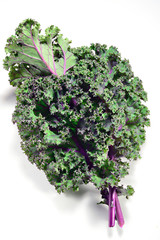 Kale leaves of red or Russian variety on white background.