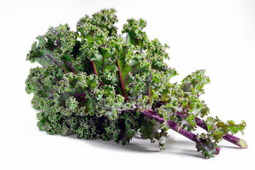 Kale leaves of red or Russian variety on white background.
