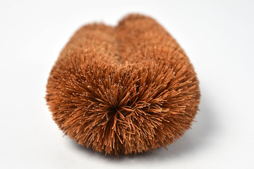 clothes cleaning brush isolated on white background