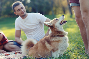 family picnic with a dog