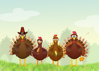 Funny turkeys © adrenalinapura