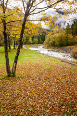 Autumn on a bed of dry leaves looking mountain landscape