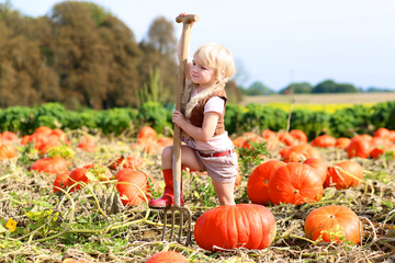 Cute kid picking pumpkins on a farm in Thanksgiving holiday season. Little girl playing at Halloween patch. Ideas for outdoors fun in autumn for family with children.