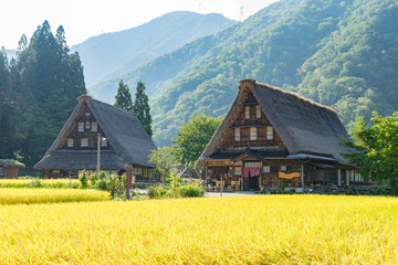 Gassho Zukuri Houses in Suganuma area of Gokayama, Japan (五箇山 菅沼合掌造り) 