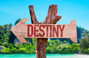 Destiny arrow with beach background