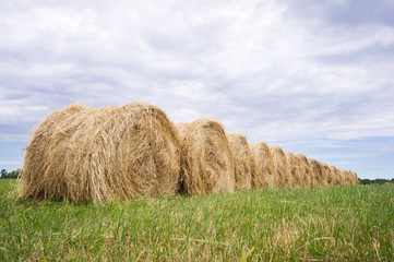 Hay balls in the grass under a cloudy sky