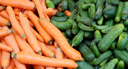 fresh cucumbers for sale