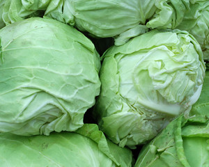 Fototapeta premium cabbage for sale in a market
