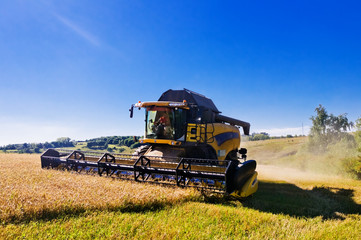 combine harvester on a wheat field with a blue sky