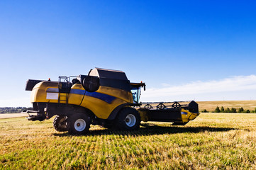 Fototapeta premium combine harvester on a wheat field with a blue sky